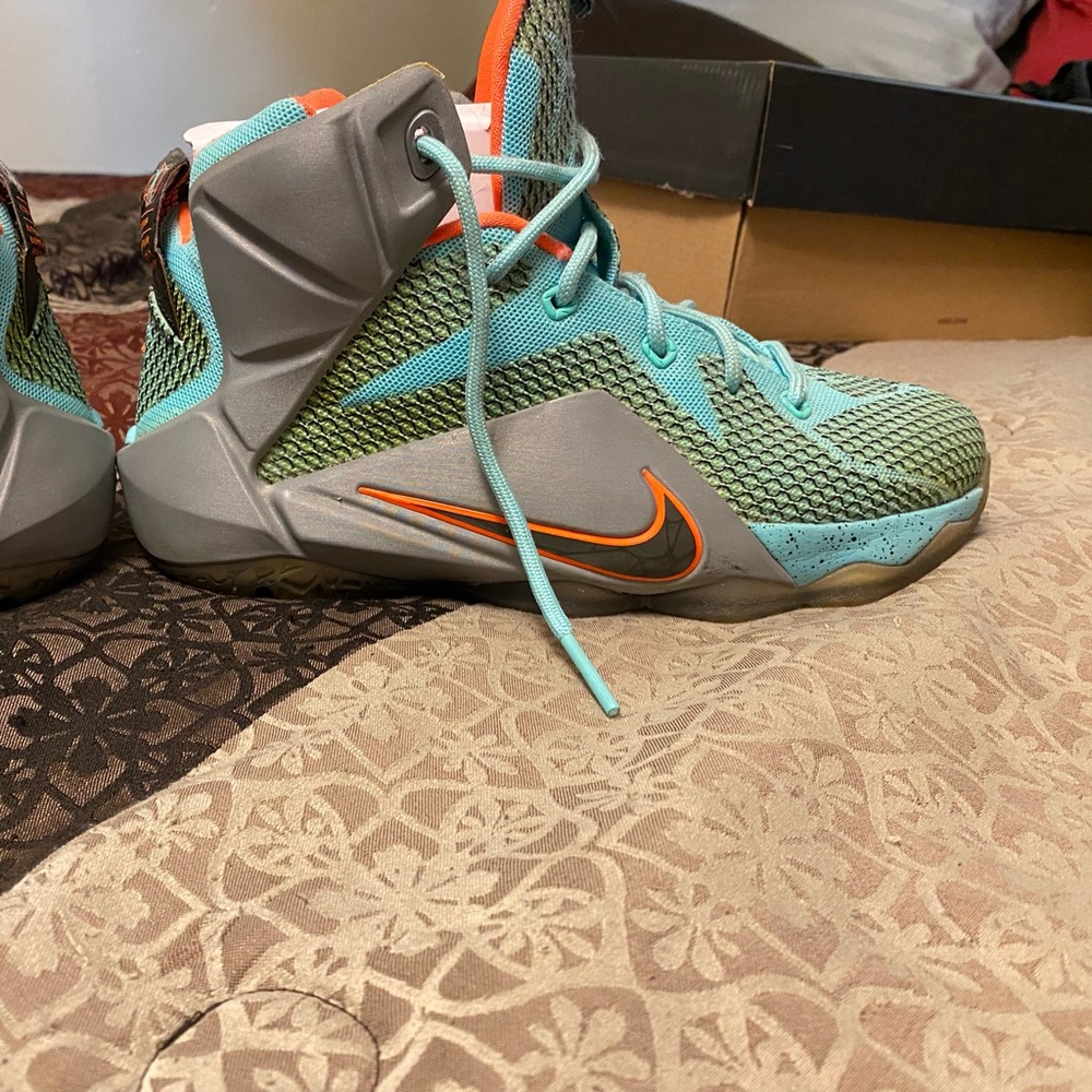 Nike Zoom Lebron XII